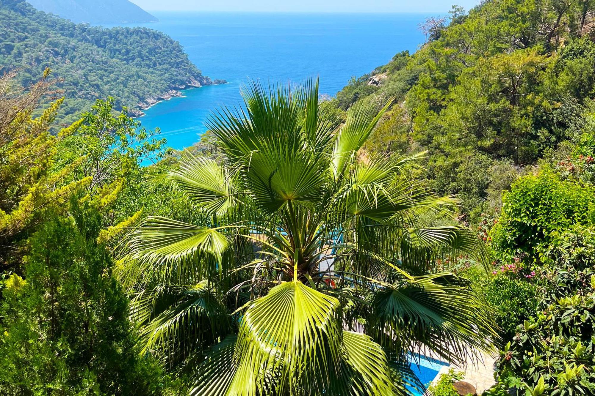 Villa Full Moon Camp Faralya Esterno foto